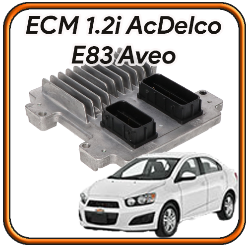 Centralina Motore Aveo 1.2 16v AcDelco E83 revisione e servizi Centralina Motore Aveo 1.2 16v AcDelco E83 revisione e servizi